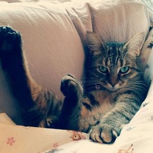 Make her an offer!! 💟💟💟